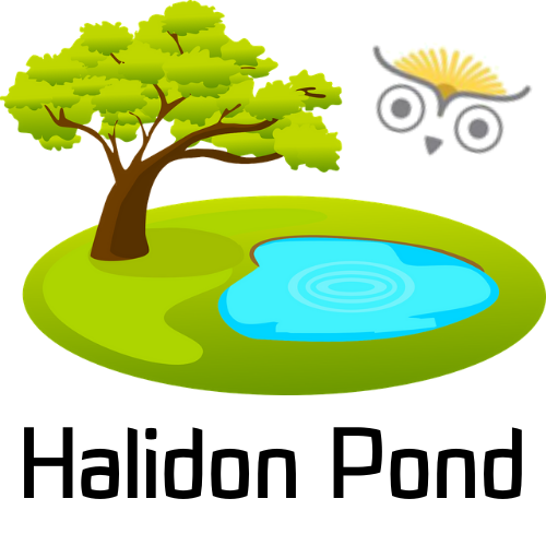 Halidon Pond